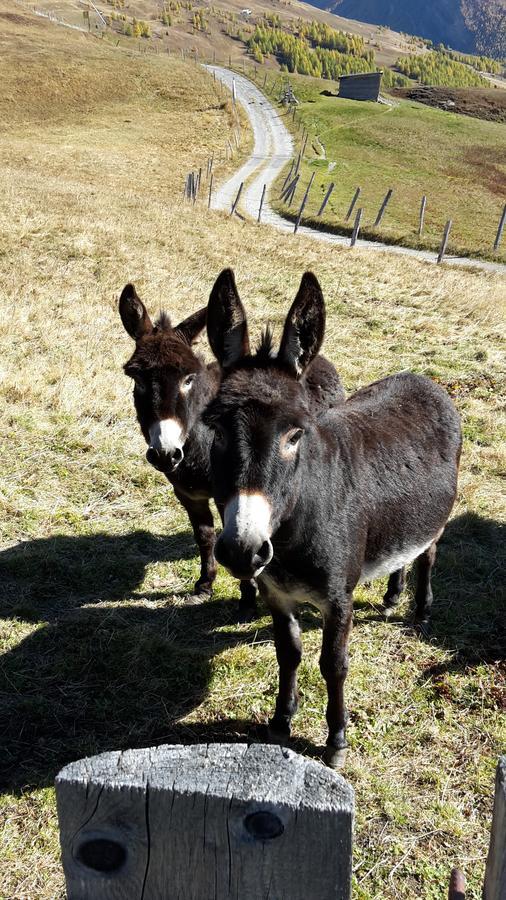 Familienpension Gletscherblick Heiligenblut Luaran gambar